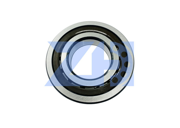 Argent de couleur de Slewing Motor Bearing AP5S67 d'excavatrice