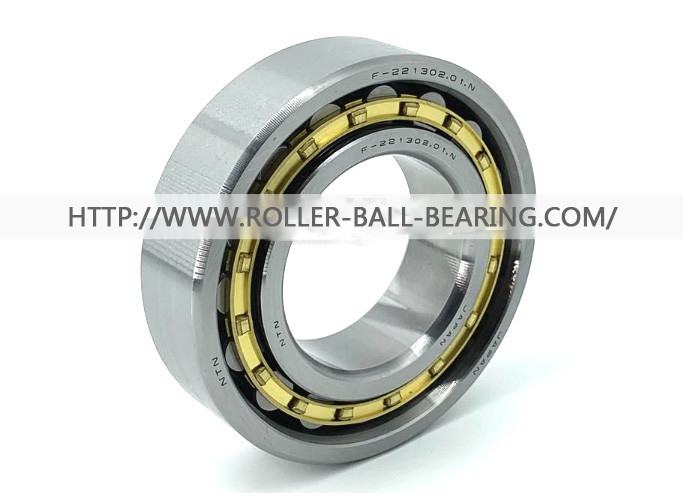 Roulements à rouleaux cylindrique de F-221302.01.N NTN F-221302 F 221302 1 55x104x27 millimètre