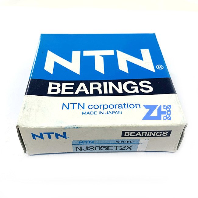 P4 P0 P1 P5 P6 P3    Chandelle de NIVEAU de qualité   Roulement à rouleaux   NJ3045 NJ305ET2XU    NJ305ET2XUP2RS      CHROME   ACIER