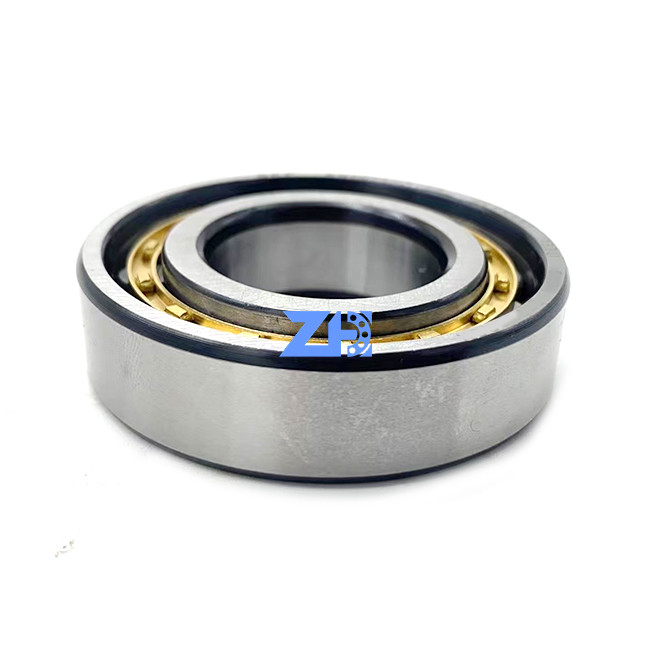 Roulements à rouleaux cylindrique de RN206ECM de rangée simple durable cylindrique du roulement à rouleaux 30*55.5*16mm