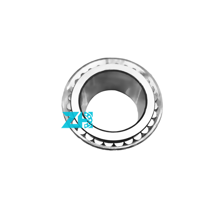 F-229575 roulement à rouleaux cylindriques à double rangée 38*55,9*29,5 mm pour haute précision et capacité de charge