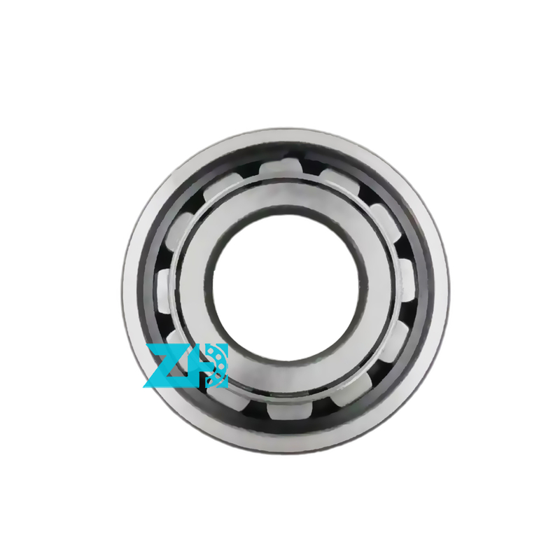 Rameau à rouleaux cylindriques F-43710.1 Taille 35x62x19 mm Capacité de charge de haute précision GCR15 Stock abondant