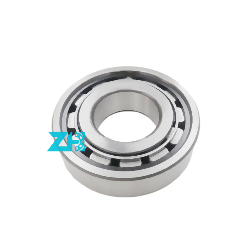 Rameau à rouleaux cylindriques F-43710.1 Taille 35x62x19 mm Capacité de charge de haute précision GCR15 Stock abondant