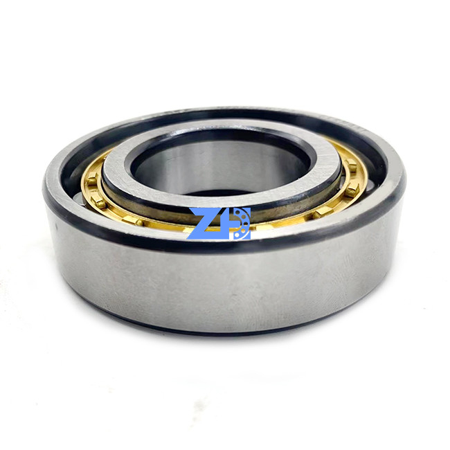 N206 N206E N206M N206EM N206ECM C3 30*62*16 mm Roulements à rouleaux cylindriques en laiton