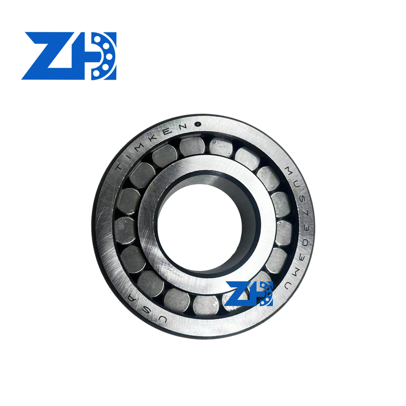 MUS7303 Roulements à rouleaux cylindriques stables pour une capacité de charge élevée dans les équipements de précision
